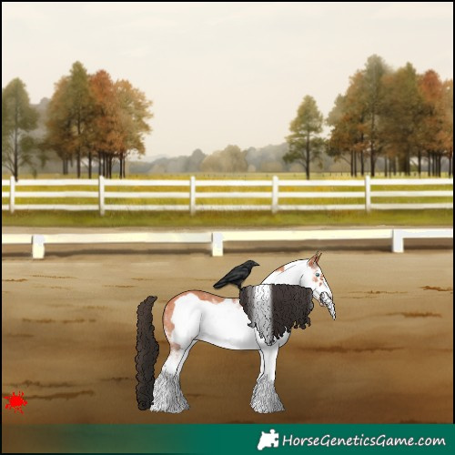 Horse Color:White Spotted Bay Frame 