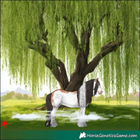 Horse Color:White Spotted Bay Frame 
