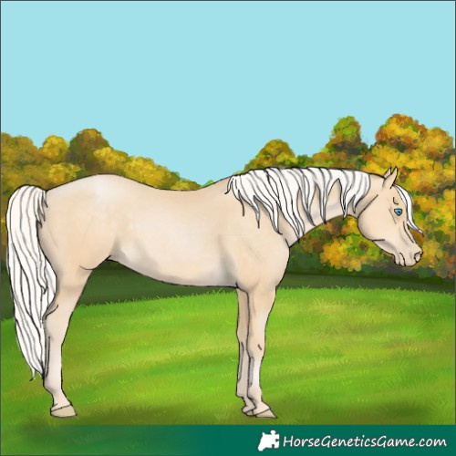 Horse Color:Silver Smoky Black Pearl 