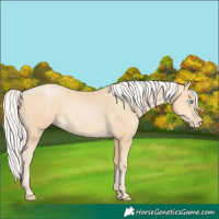 Horse Color:Silver Smoky Black Pearl