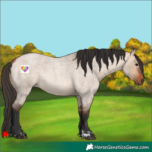 Horse Color:Bay Roan Dun  and Bay Roan Dun Rabicano 