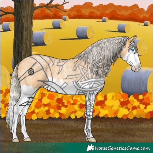 Horse Color:Silver Buckskin Roan Splash 