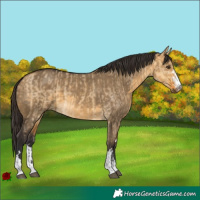 Horse Color:Buckskin Dun  and Buckskin Dun 