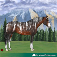 Horse Color:Powder White Bay 