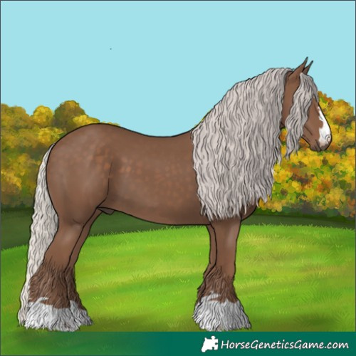 Horse Color:Silver Black 