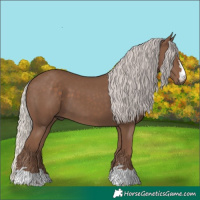 Horse Color:Silver Black 