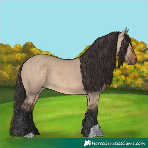 Horse Color:Brown Dun 