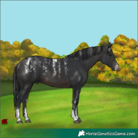 Horse Color:Powder White Brown 