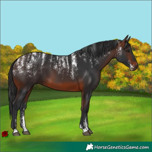 Horse Color:Powder White Brown