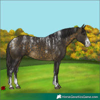 Horse Color:Powder White Buckskin 