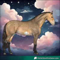 Horse Color:Buckskin Dun  and Buckskin Dun Frame 