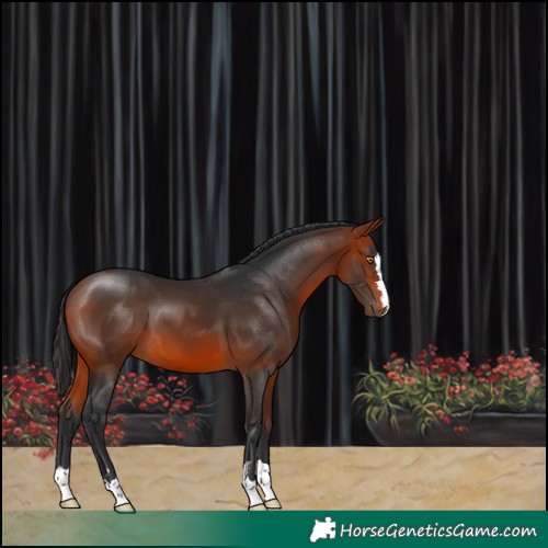 Horse Color:Brown Mushroom