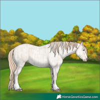 Horse Color:Perlino Dun and White Spotted Perlino Dun