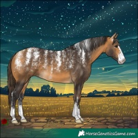 Horse Color:Powder White Buckskin 