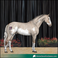 Horse Color:Silver Grullo Roan Splash Frame 