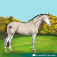 Horse Color:Classic Champagne Dun Splash 