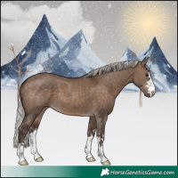 Horse Color:Silver Brown Dun 