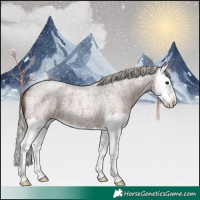 Horse Color:Silver Blue Roan Splash 