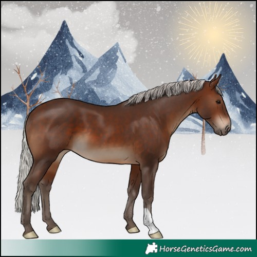 Horse Color:Silver Brown