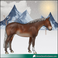 Horse Color:Silver Brown 