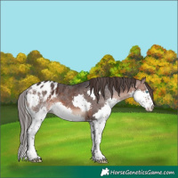 Horse Color:Brown Splash Blanket