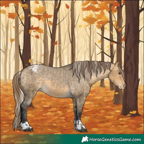 Horse Color:Silver Buckskin Dun Varnish  and Buckskin Dun Varnish 