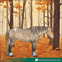 Horse Color:Silver Buckskin Dun Varnish  and Buckskin Dun Varnish 