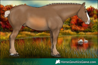 Horse Color:Chocolate Palomino Splash 