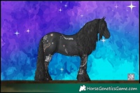 Horse Color:Black 