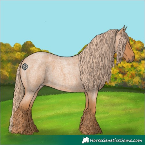 Horse Color:Red Roan