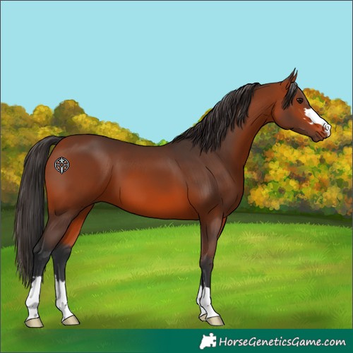 Horse Color:Brown 