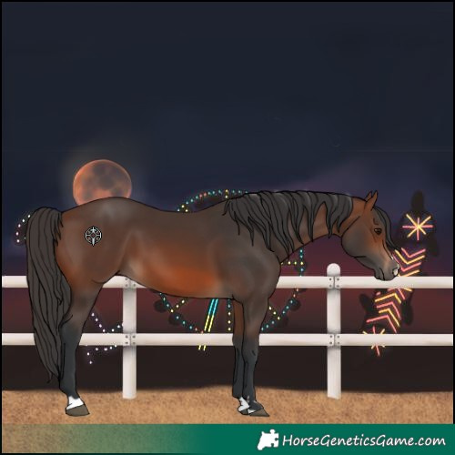 Horse Color:Brown 