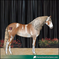 Horse Color:Gray Chestnut Sabino 