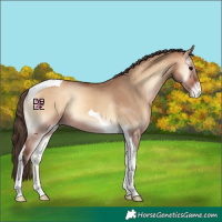Horse Color:Bay Onyx Tobiano Appaloosa