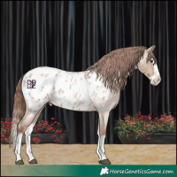 Horse Color:Red Dun Roan Splash Blanket
