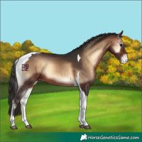 Horse Color:Brown Onyx Tobiano Varnish 