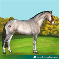 Horse Color:Bay Roan Onyx Tobiano Varnish 