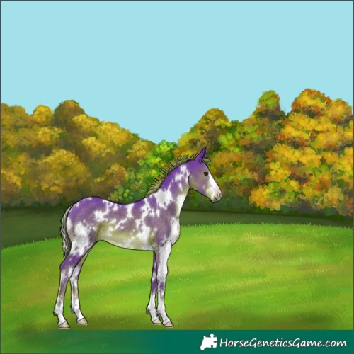 Horse Color:Watercolor White Spotted Liver Chestnut