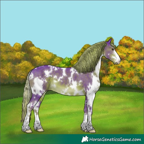 Horse Color:Watercolor White Spotted Liver Chestnut 