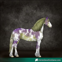 Horse Color:Watercolor White Spotted Liver Chestnut
