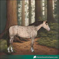 Horse Color:Bay Dun and Amber Champagne Dun