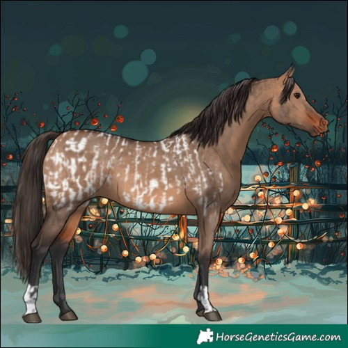 Horse Color:Brown Dun Near Leopard and Bay Dun