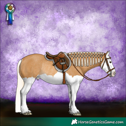 Horse Color:Palomino Splash Rabicano