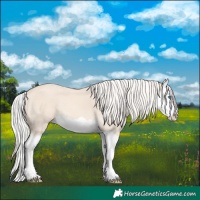 Horse Color:Cremello Splash 