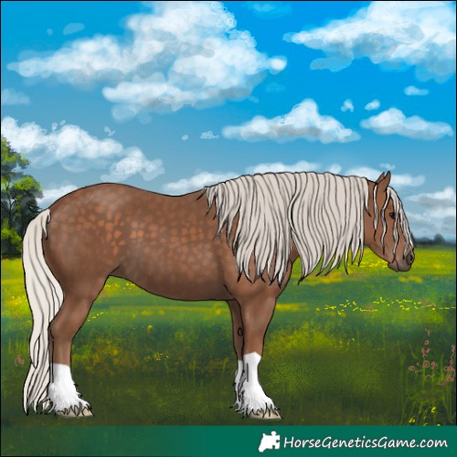 Horse Color:Silver Black 