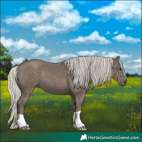 Horse Color:Silver Smoky Black