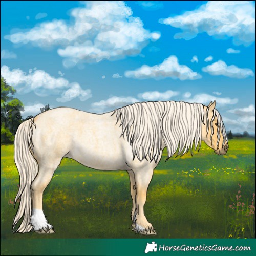 Horse Color:Palomino Roan