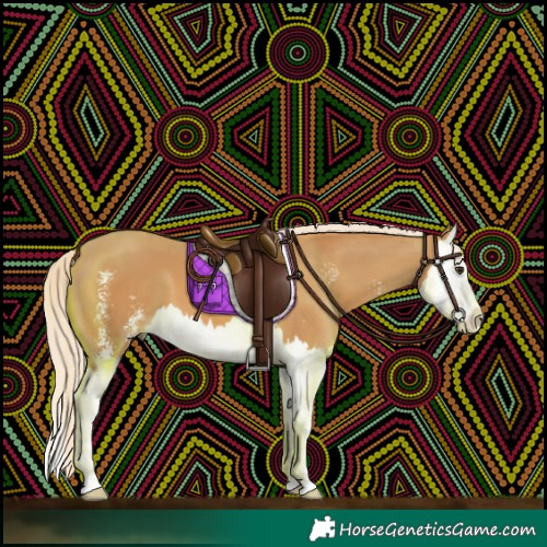 Horse Color:Palomino Sabino Splash