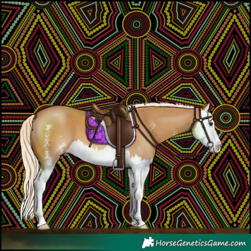 Horse Color:Palomino Sabino Splash