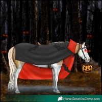 Horse Color:Palomino Sabino Splash 